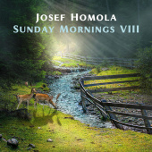 постер песни Josef Homola - Slowly