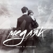 постер песни Tanir, Tyomcha - Медляк