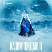 постер песни Казим Шидаков - Белым Снегом