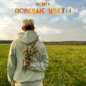 постер песни HENSY - Полевые цветы