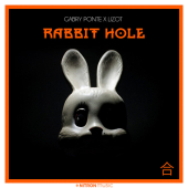 постер песни Gabry Ponte - Rabbit Hole
