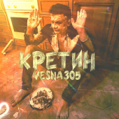 постер песни VESNA305 - Кретин