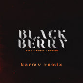постер песни NEEL, KOREL, B3NZIN - BLACKBERRY (karmv Remix)