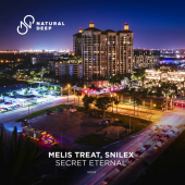 постер песни Melis Treat - Secret Eternal