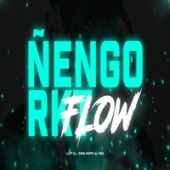 постер песни Luty DJ - Ñengo Flow RKT