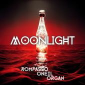 постер песни Rompasso - Moonlight