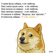 постер песни Krec - Собака