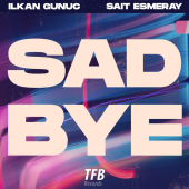 постер песни Ilkan Gunuc - Sad Bye