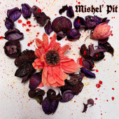 постер песни Mishel Pit - Осколки