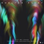 постер песни Shelter Point - Cut Me Loose (Submotion Orchestra Remix)
