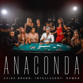 постер песни Zvika Brand - Anaconda