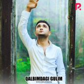 постер песни Shohruhxon - Qalbimdagi gulim