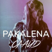 постер песни PAKALENA - Слайд