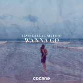 постер песни Levis Della - Wanna Go