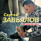 постер песни Сергей Завьялов - Не Гони Ты Меня