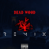 постер песни Vidar - Deadwood (Remix)