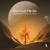 постер песни Malik Bash &amp; Harley Bird - Don\'t Let Me Go