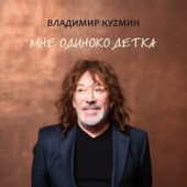 постер песни Владимир Кузьмин - Разбитое сердце