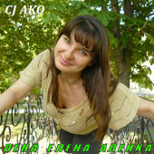 постер песни CJ AKO - Лена Елена Аленка