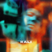 постер песни KALI - Занят делами