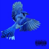 постер песни Frankie Krupnik - Blue Jay