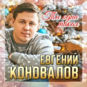 постер песни Евгений Коновалов - Ты Одна Такая