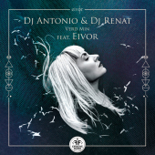 постер песни Dj Antonio - Verd Min