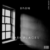постер песни DNDM - Dark Places