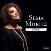 постер песни Sema - Hasret