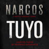 постер песни Rodrigo Amarante - Tuyo (Narcos Theme)