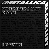 постер песни J. Balvin - Wherever I May Roam