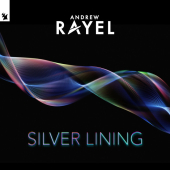 постер песни Andrew Rayel - Silver Lining