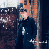 постер песни GreyFox - Невесомость