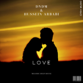 постер песни DNDM feat. Hussein Arbabi - Love