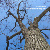 постер песни Кирпичи - Blues de Moscou III