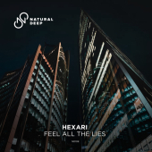 постер песни Hexari - Feel All The Lies