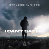 постер песни Struzhkin - I Can t Say No