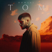 постер песни Bonsai - Том