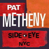 постер песни Pat Metheny - Timeline