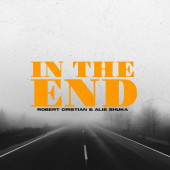 постер песни Robert Cristian - In The End