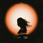 постер песни DONI, ZAUR &amp; MEIRINKITO - Тайна