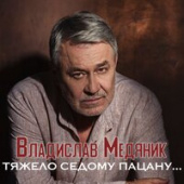 постер песни Владислав Медяник - Тяжело Седому Пацану