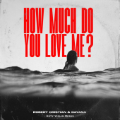 постер песни Robert Cristian, Dayana - How much do you love me