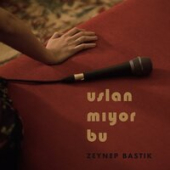 постер песни Zeynep Bastık - Ara