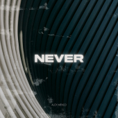 постер песни Alex Menco - Never