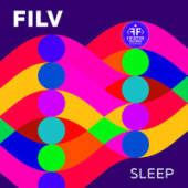 постер песни FILV - Can You Feel