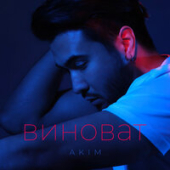 постер песни Akim - Виноват