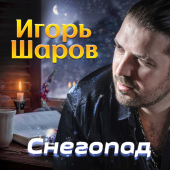 постер песни Игорь Шаров - Снегопад