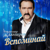 постер песни Владимир Ждамиров - Вспоминай