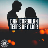 постер песни Dani Corbalan - Liar